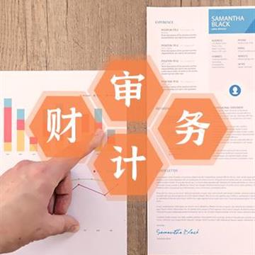 财务内部审计完整流程